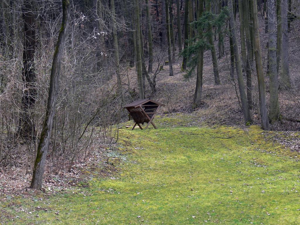 Salas-Partizánske Exteriör bild